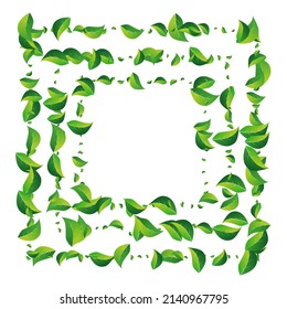 Grassy Leaves Nature Vector White Background. Blur Leaf Poster. Mint Greens Fly Wallpaper. Foliage Flying Border.