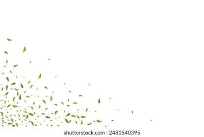 Grassy Leaves Nature Vector White Background Branch. Herbal Foliage Wallpaper. Olive Greens Realistic Poster. Leaf Wind Border.