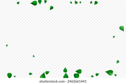 Grassy Leaves Organic Vector Transparent Background Border. Spring Greens Brochure. Green Foliage Blur Template. Leaf Fresh Branch.