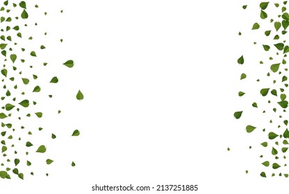 Grassy Leaves Organic Vector White Background Illustration. Spring Greens Poster. Lime Foliage Herbal Banner. Leaf Fresh Border.