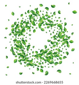 Grassy Leaves Organic Vector White Background. Forest Leaf Backdrop. Mint Foliage Fly Border. Greens Blur Illustration.