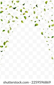 Grassy Leaves Realistic White Transparent Vector Background Poster. Abstract Leaf Border. Green Greens Herbal Plant. Foliage Fresh Backdrop.