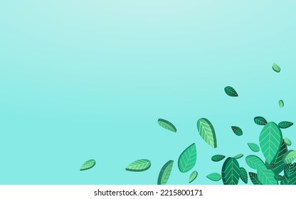 Grassy Leaves Spring Vector Blue Background Border. Transparent Greens Branch. Green Leaf Nature Pattern. Foliage Ecology Backdrop.