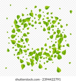 Grassy Leaves Spring Vector Transparent Background Poster. Motion Leaf Brochure. Olive Foliage Abstract Plant. Greens Forest Banner.