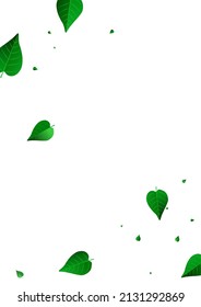 Grassy Leaves Spring Vector White Background Backdrop. Realistic Foliage Branch. Swamp Leaf Tree Border. Greens Abstract Wallpaper.