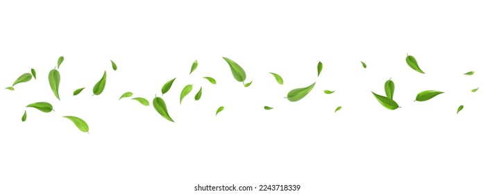 Grassy Leaves Swirl Vector Panoramic White Background Branch. Tree Foliage Poster. Swamp Leaf Abstract Plant. Greens Herbal Banner. - Shutterstock ID 2243718339