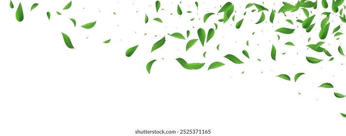 Grassy Leaves Swirl Vector Panoramic White Background Border. Forest Foliage Poster. Mint Leaf Wind Design. Greens Abstract Plant.