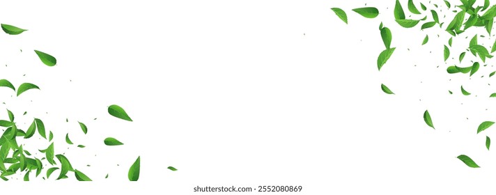 Grassy Leaves Swirl Vector Panoramic White Background Banner. Ecology Leaf Brochure. Olive Greens Nature Plant. Foliage Motion Design.