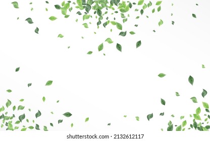 Grassy Leaves Swirl Vector White Background Template. Falling Leaf Plant. Swamp Foliage Forest Illustration. Greenery Wind Design.