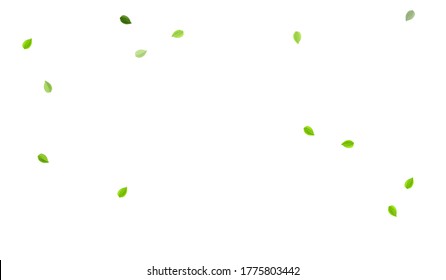 Grassy Leaves Tea Vector Design. Fly Leaf Backdrop. Swamp Greens Motion Branch. Foliage Transparent Pattern.