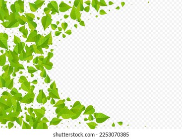 Grassy Leaves Tea Vector Transparent Background Border. Abstract Leaf Wallpaper. Forest Foliage Ecology Brochure. Greens Nature Poster.