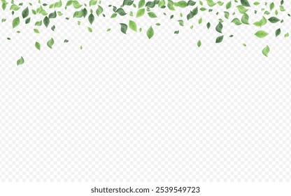 Grassy Leaves Tea Vector Transparent Background Branch. Blur Foliage Wallpaper. Swamp Leaf Nature Concept. Greenery Flying Border.