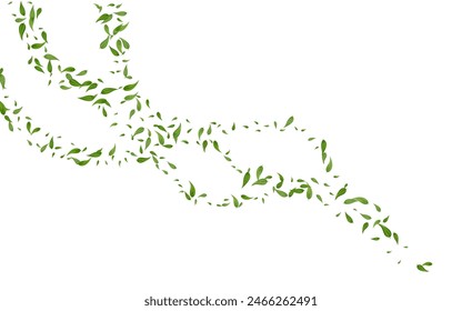 Grassy Leaves Tea Vector White Background Plant. Spring Leaf Border. Mint Foliage Flying Concept. Greens Herbal Brochure.