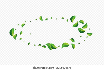 Grassy Leaves Transparent Vector Transparent Background. Blur Foliage Design. Green Leaf Herbal Backdrop. Greens Flying Plant.