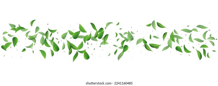 Grassy Leaves Transparent Vector Panoramic White Background Backdrop. Motion Leaf Branch. Green Foliage Spring Illustration. Greens Tree Design.
