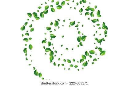 Grassy Leaves Transparent Vector White Background. Tree Leaf Branch. Forest Foliage Fly Brochure. Greens Falling Border.