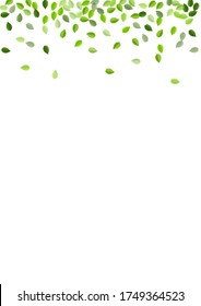 Grassy Leaves Tree Vector Background. Tea Foliage Concept. Forest Greens Ecology Poster. Leaf Organic Wallpaper.