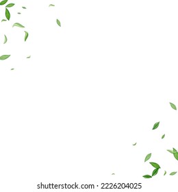 Grassy Leaves Tree Vector White Background Backdrop. Herbal Greens Poster. Forest Foliage Nature Branch. Leaf Wind Plant.