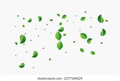 Grassy Leaves Wind Vector Transparent Background. Blur Leaf Design. Lime Greens Swirl Illustration. Foliage Herbal Plant.