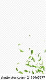 Grassy Leaves Wind Vector Transparent Background Brochure. Flying Leaf Concept. Lime Greens Fly Template. Foliage Nature Illustration.