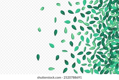 Grassy Leaves Wind Vector Transparent Background Concept. Fresh Foliage Wallpaper. Green Leaf Herbal Branch. Greens Blur Template.