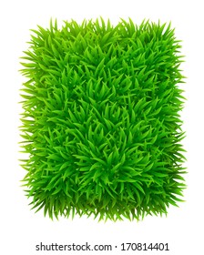 Grassy rectangle