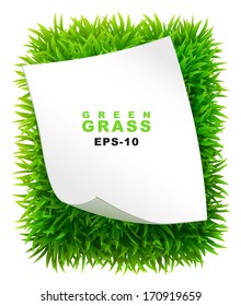 Grassy rectangle with a clean sheet of paper