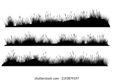 grassy silhouette. long grass set