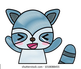 grated adorable and cheerful raccoon wild animal
