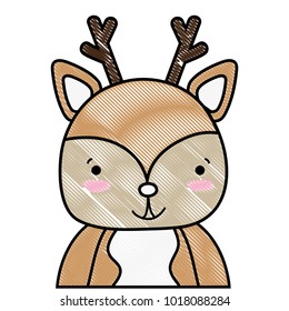 grated adorable and happy deer wild animal