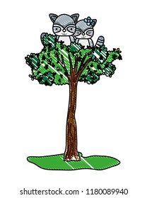 grated adorable raccoon couple animals in the tree