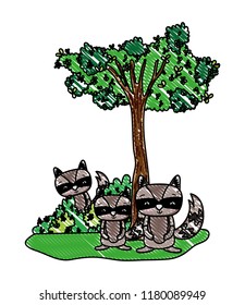 grated adorable raccoon friends animal and bushes