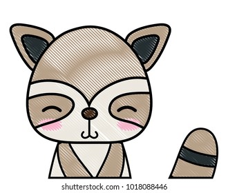 grated adorable and shy raccoon wild animal