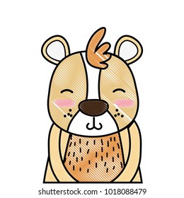 grated adorable and smile bear wild animal