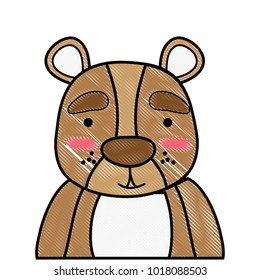 grated adorable and surprised bear wild animal