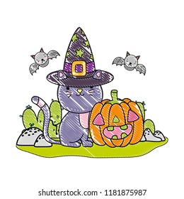 grated cat wearing hat with pumpkin and bats