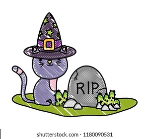 grated cute cat with hat and rip stone