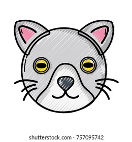grated cute cat head pet animal