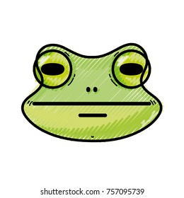 grated cute frog head wild animal