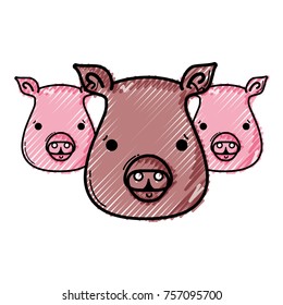 grated cute pigs heads wilds animals