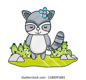 grated female raccoon wild animal in the landscape