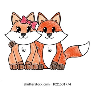grated fox couple cute animal together