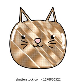 grated happy cat head nice animal