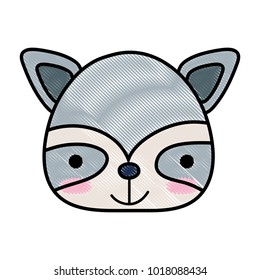 grated happy raccoon head wild animal