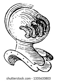 Grated Helmet Profile is common to all degrees of peerage under a duke, vintage line drawing or engraving illustration.