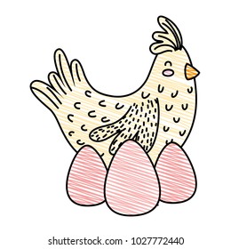 grated hen bird farm animal with eggs