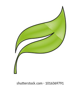grated nature exotic plant leaf design