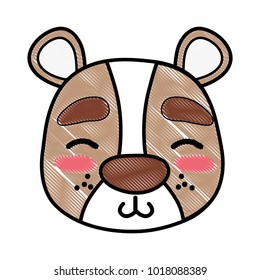 grated shy bear head wild animal