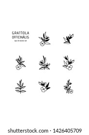 Gratiola - vector icons set. Symbol for web, infographics, print design and mobile UX/UI kit. Vector illustration, EPS10.