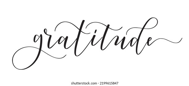 Gratitude Cute Modern Calligraphy Design Stock Vector (Royalty Free ...